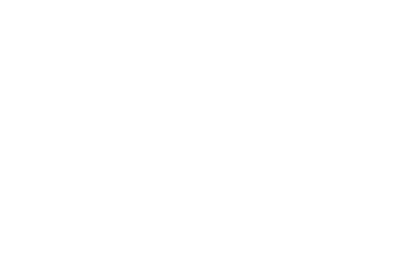 logo-800