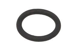 ZF O-Ring 0634313215